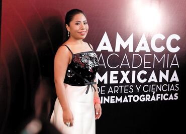 ‘Roma’ wins 10 prizes at Mexico’s Ariel Awards