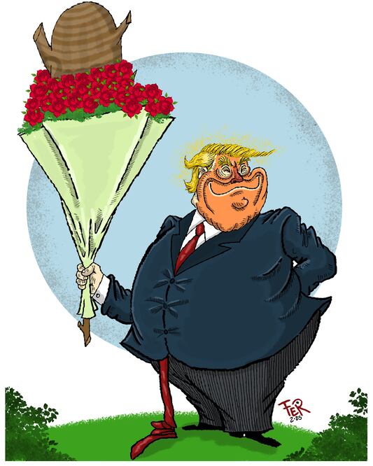 Cartón de FER