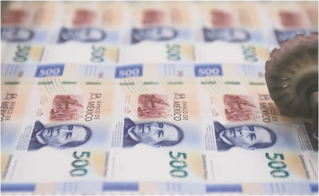 Foto: Carlos Zepeda / EL UNIVERSAL