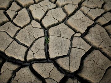 Cape Town: A warning to a thirsty world