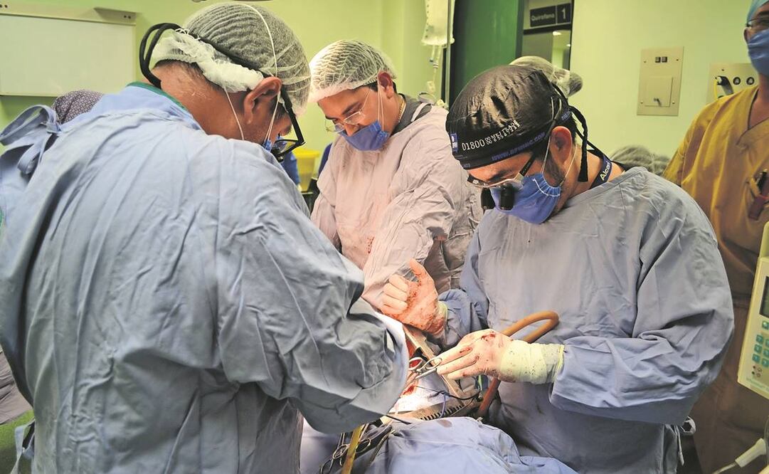 Una solución al rezago en la donación de órganos implica asignar presupuesto suficiente a las instituciones para que el programa funcione en todo momento, dice especialista. Foto: Archivo/ EL UNIVERSAL