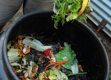 Hablemos de la escasez y desperdicio de alimentos