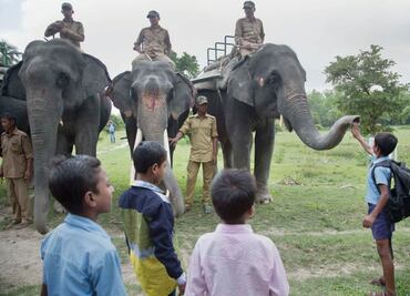 "Selfies" con animales salvajes, una crueldad