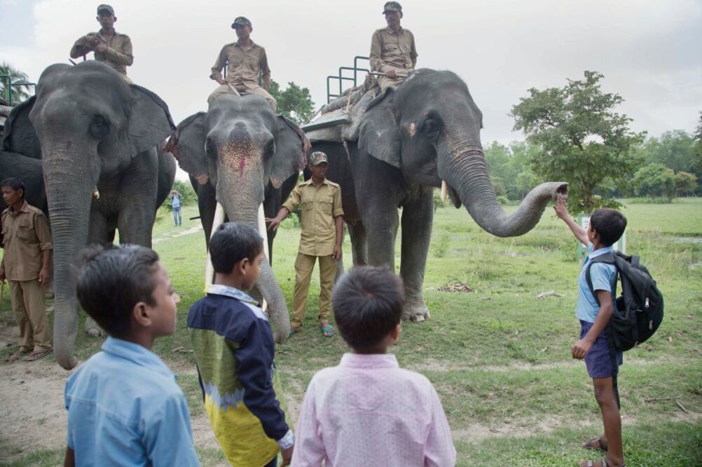 Afectación. Un santuario animal, en India. Los elefantes son de los animales con los que la gente más se toma selfies (ANUPAM NATH. AP)