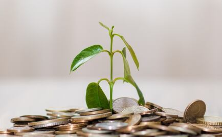 Prevé AMIS reducción en el crecimiento del sector asegurador