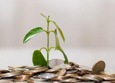 Prevé AMIS reducción en el crecimiento del sector asegurador