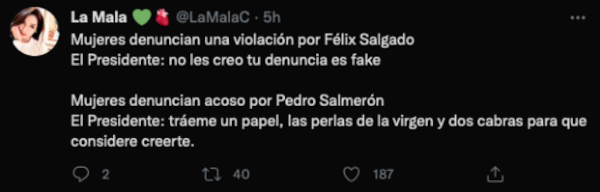 El acoso de Pedro Salmerón ha sido sistemático con muchas mujeres: Adriana Pineda