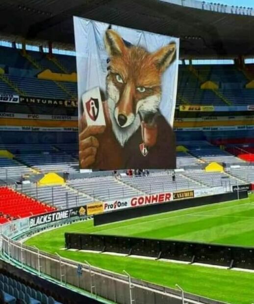 Luis Fernando Tena ensaya alineación sin Macías para el Clásico Tapatío