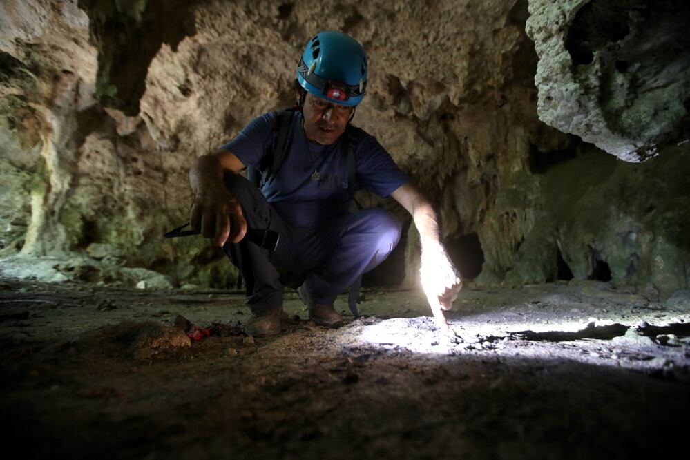 especies de mamíferos terrestres, entre ellas el jaguar, en peligro de extinción