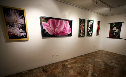 Obras de arte buscan salvación y rescate de la naturaleza