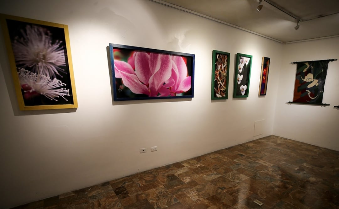 Foto: EFE/José Jácome