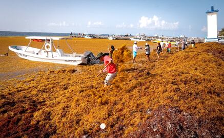 Sargazo, pesadilla de los hoteleros caribeños desde 2011