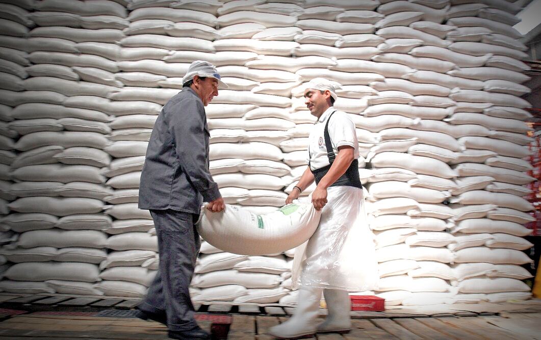 Imagen ilustrativa. Foto: Archivo/EL UNIVERSAL