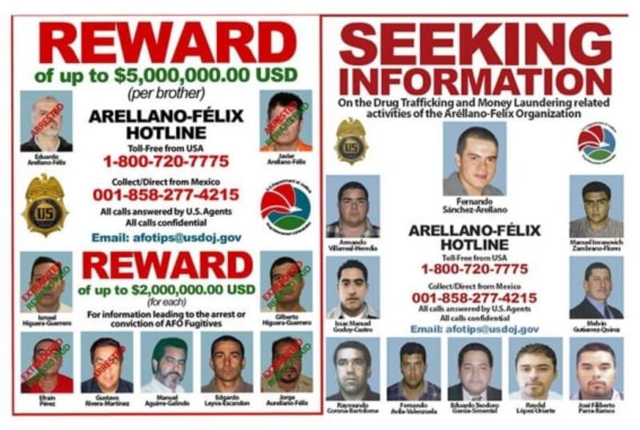 Enedina Arellano Félix, la señora del narco que no aparece en los libros