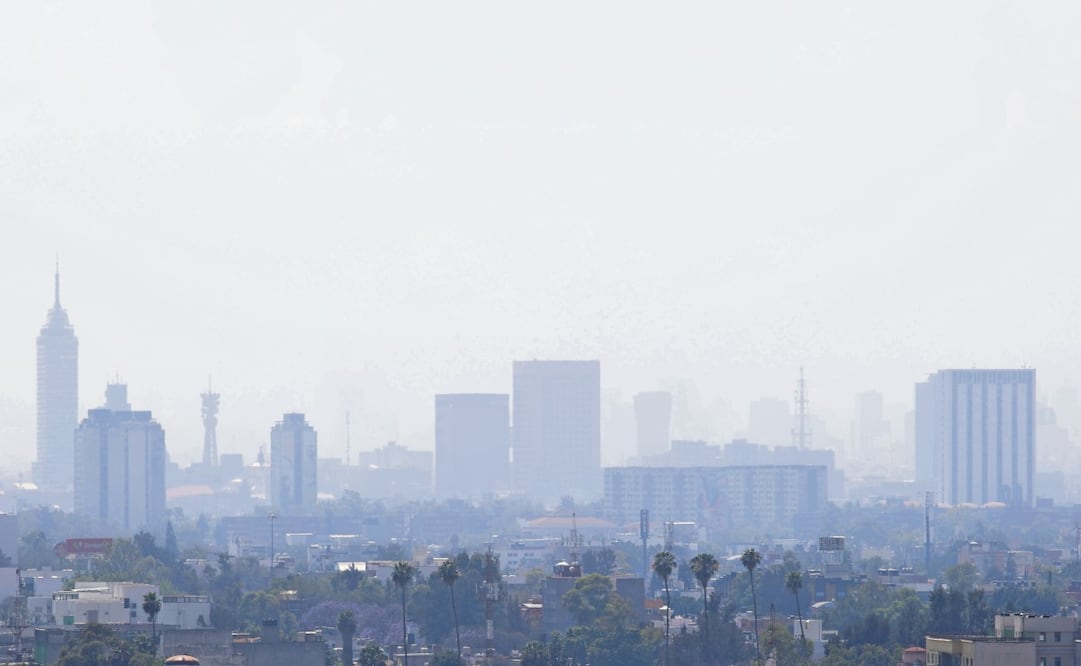 Foto: Archivo / EL UNIVERSAL