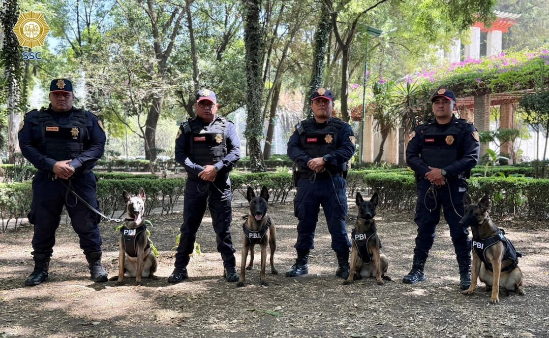 Refuerzan seguridad con nuevos binomios K9 en CDMX; perritos detectarán explosivos rumbo al Mundial. Foto: Especial
