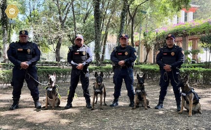 Refuerzan seguridad con nuevos binomios K9 en CDMX; perritos detectarán explosivos rumbo al Mundial