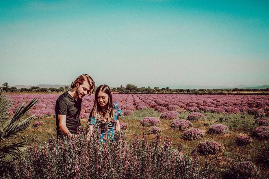 Foto: El Proyecto de Lavanda - The Lavender Project