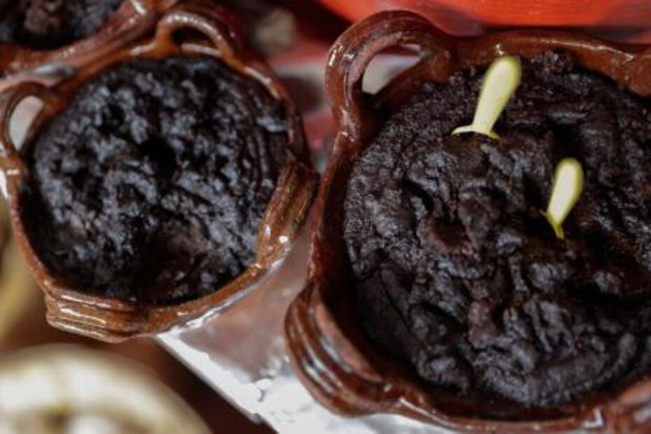 Ya empezó la Feria Nacional del Mole 2018