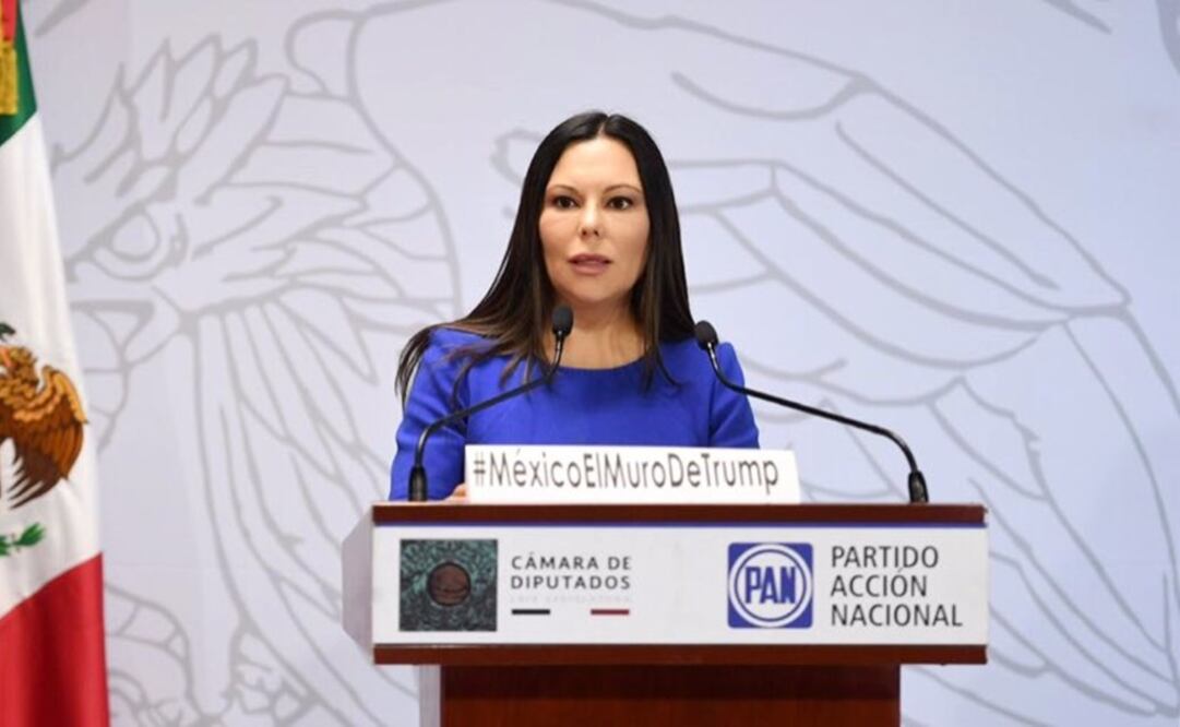 La presidenta de la Comisión de Relaciones Exteriores, la diputada Laura Rojas, del PAN, responsabilizó a AMLO por implementar una política de "puertas abiertas" / Tomada de Twitter @Laura_Rojas_
