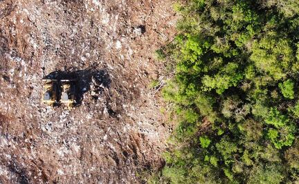 El Tren Maya. La devastación que deja a su paso