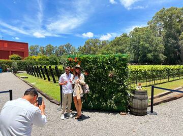 Lánzate a la fiesta de la vendimia de esta hacienda en Querétaro