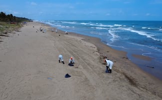 Pemex destina 15 mdp para pescadores afectados por derrame de Petróleo en Veracruz; pobladores invitan a visitarlos en Semana Santa