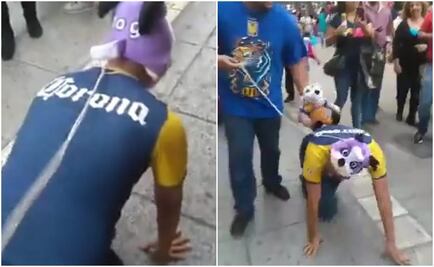 Americanista paga apuesta; "camina como perro" por Monterrey