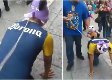 Americanista paga apuesta; "camina como perro" por Monterrey