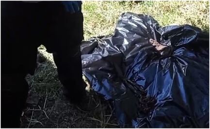 Hallan más de 15 cuerpos en fosa clandestina dentro de vivienda de Irapuato; autoridades aseguran la propiedad