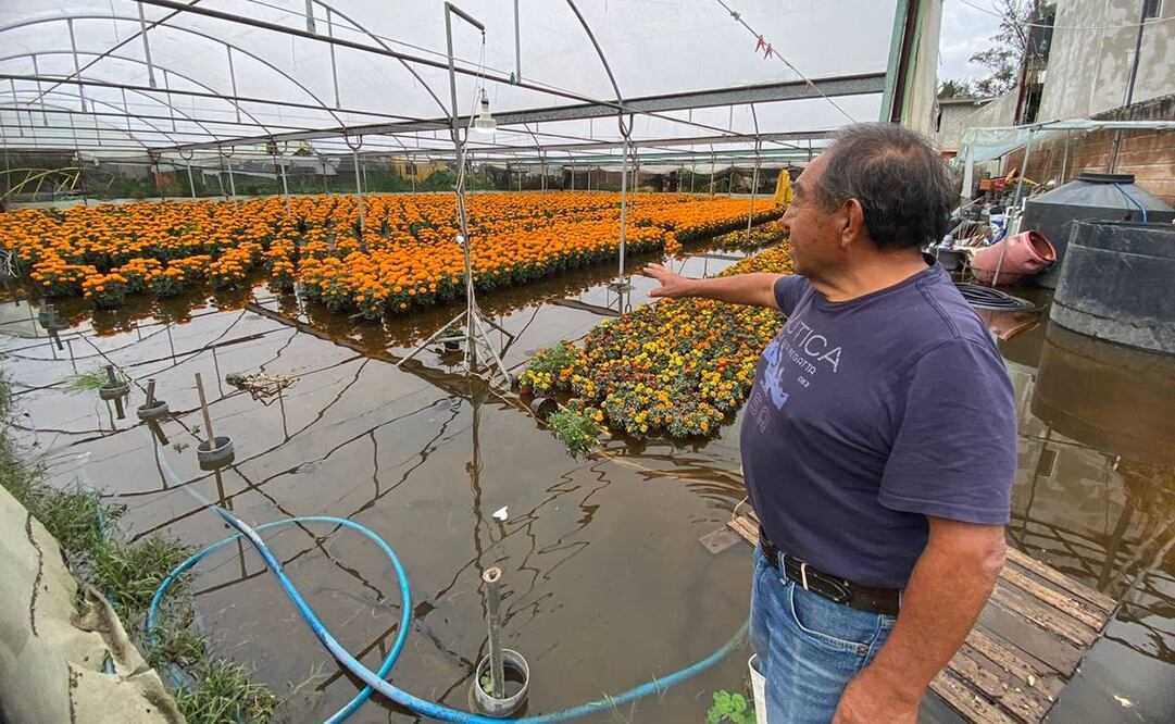 Invernadero de Cristobal García Castillo en Xochimilco inundado tras las lluvias del 6 de octubre de 2024 / Foto: Juan Carlos Williams