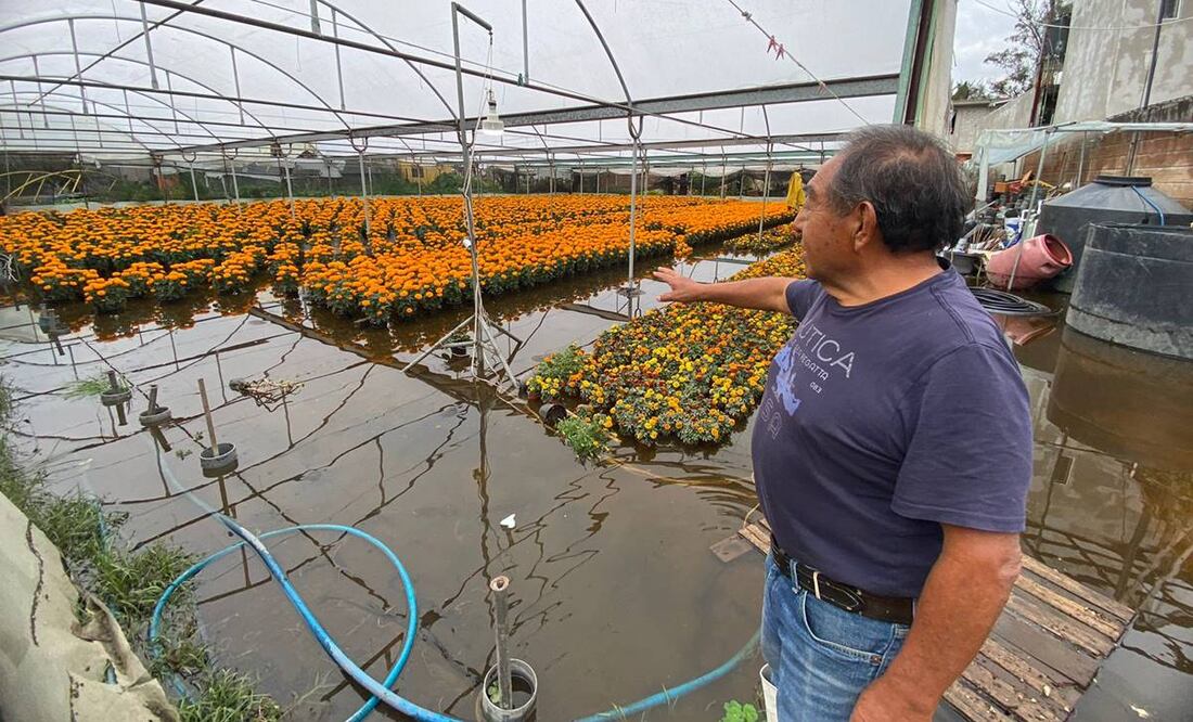 Invernadero de Cristobal García Castillo en Xochimilco inundado tras las lluvias del 6 de octubre de 2024 / Foto: Juan Carlos Williams
