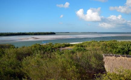 Temen que Programa en Holbox quede en "letra muerta"