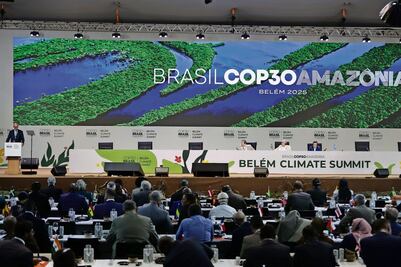 Fondo para los bosques a los biocombustibles: los primeros compromisos de la COP30 de Brasil