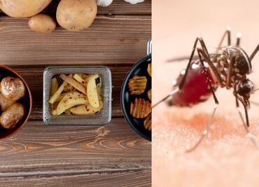 Efemérides del 20 de agosto; ¿qué se celebra hoy, miércoles?