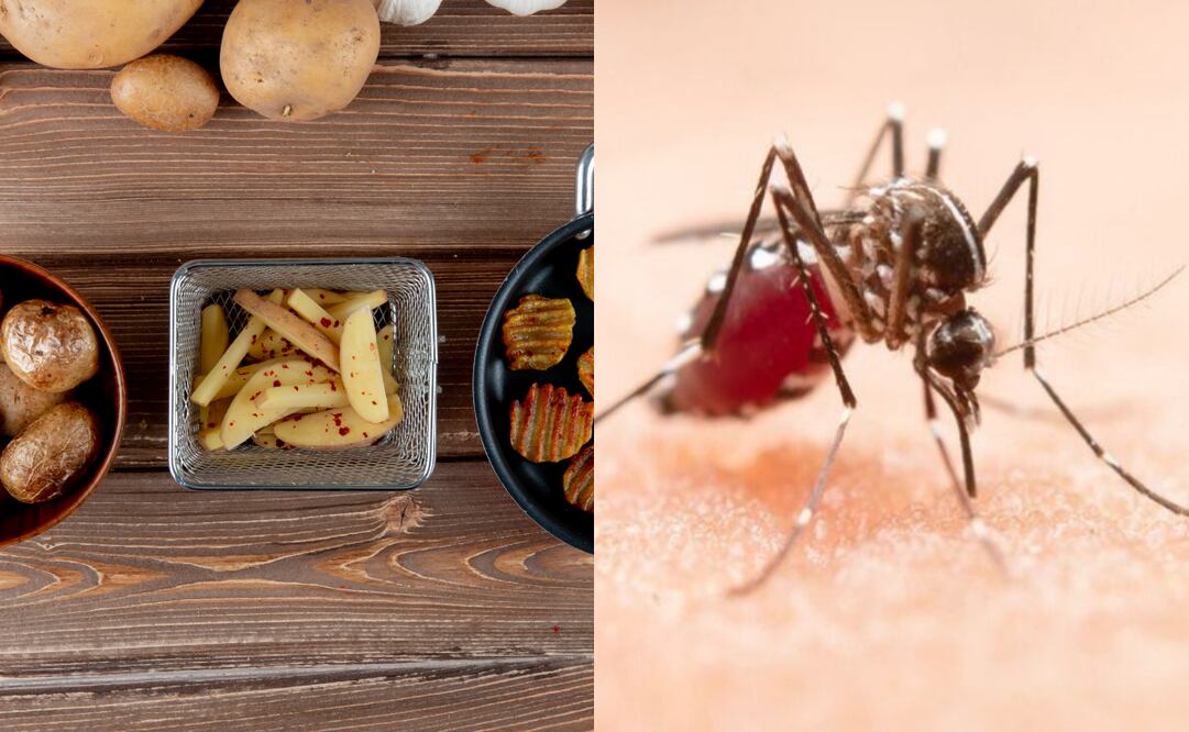 Hoy, 20 de agosto, se realizan dos actos conmemorativos.