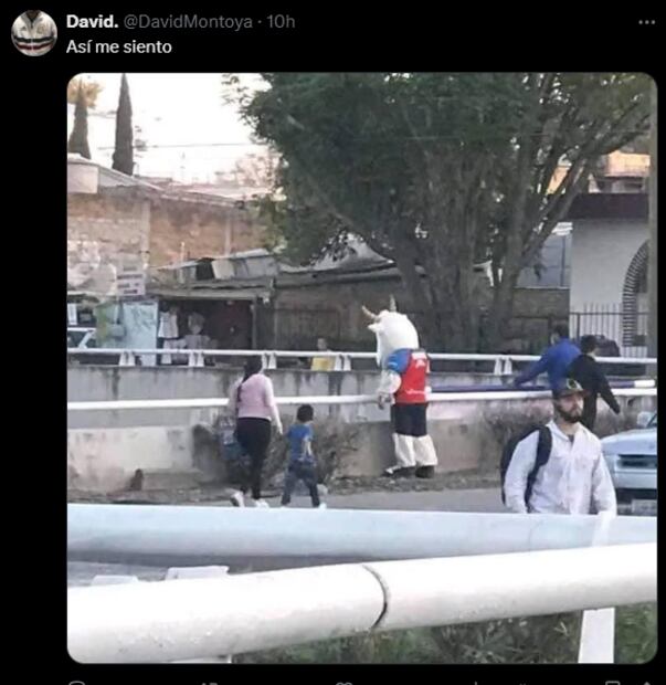 Los mejores MEMES de la eliminación de Chivas