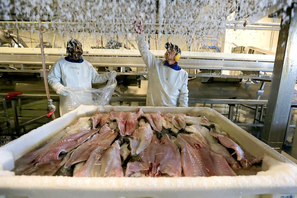 Foto: Diego Prado / El Universal