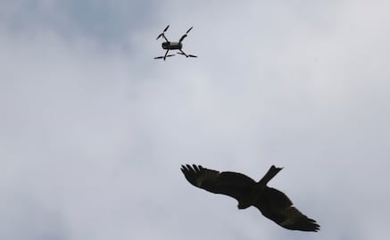 Drones suicidas, la nueva arma israelí