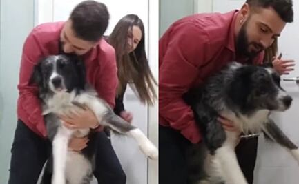 Ponen música a "tope" para que perrito no se asuste por la pirotecnia