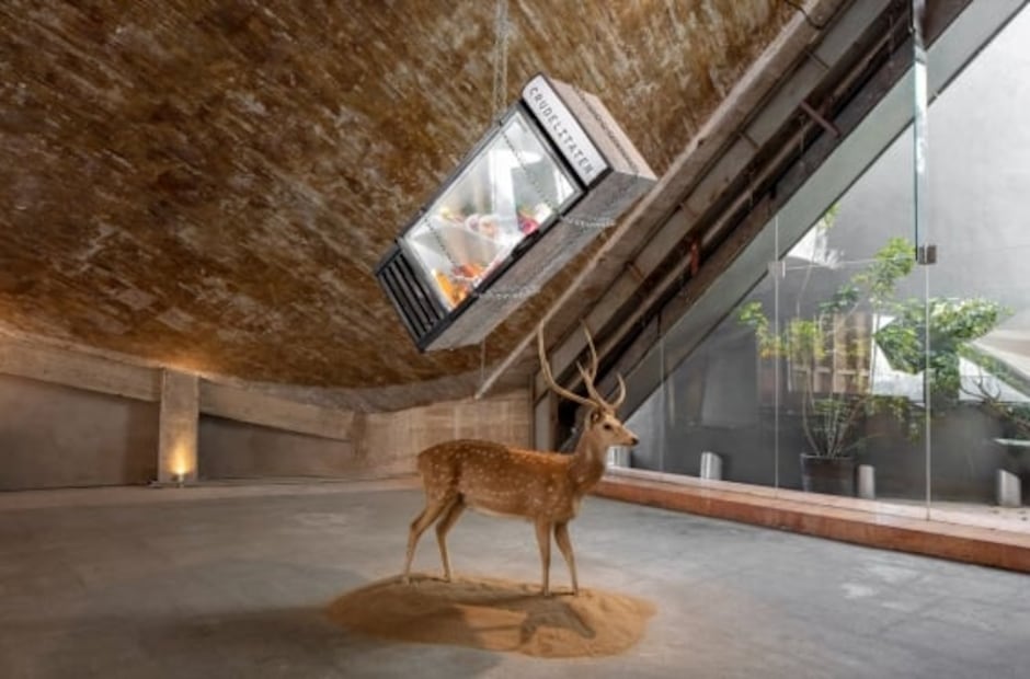 “Desert Flood” muestra las paradojas de la crisis climática, en Lago Algo