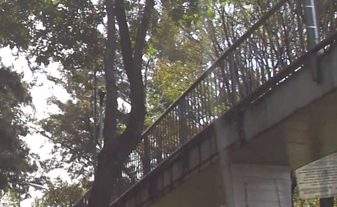 Foto: Captura de Google Maps