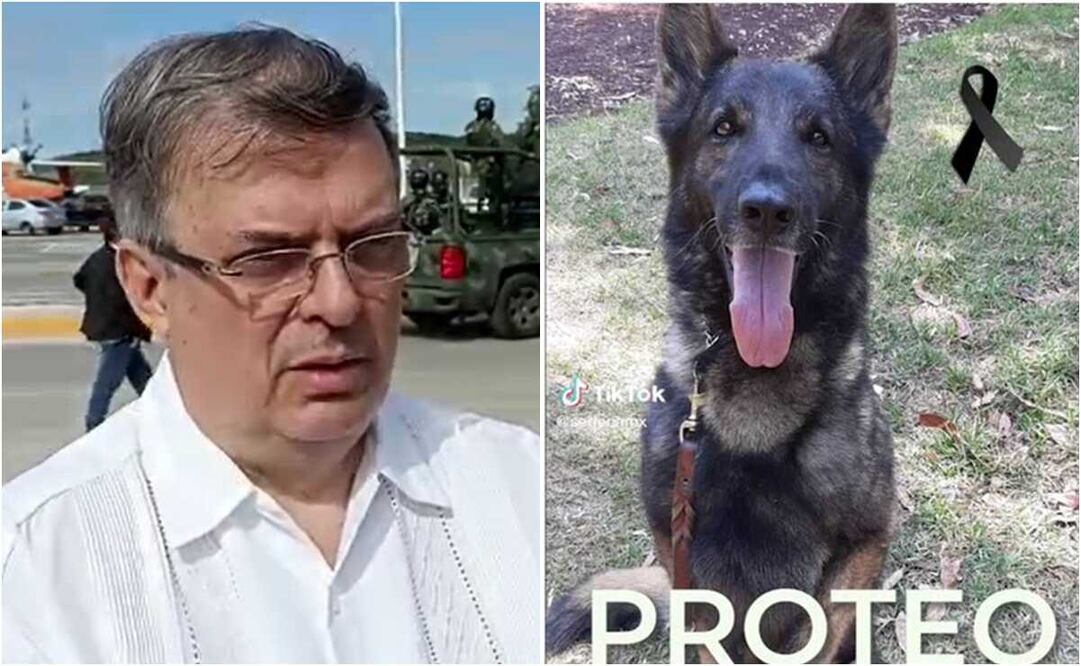 Foto: captura de pantalla 