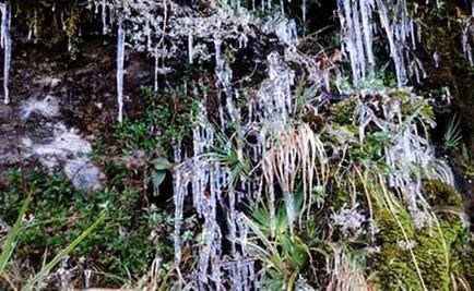 Termómetro marca hasta -2 grados en Oaxaca