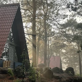 Qué hacer en el Bosque de Perlillas, a las afueras de CDMX