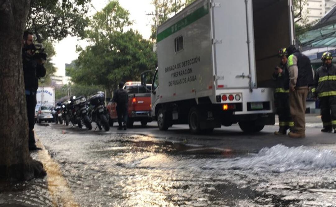 Fotografía: Gerardo Suárez/ EL UNIVERSAL