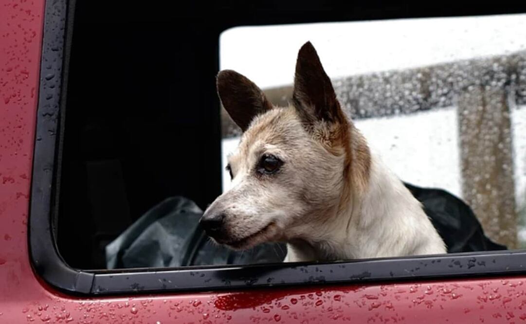 Dominará el cielo medio nublado a nublado. Foto: Pixabay