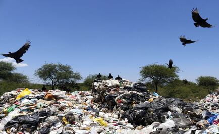Improvisan tiradero en Tlacolula de Matamoros, Oaxaca