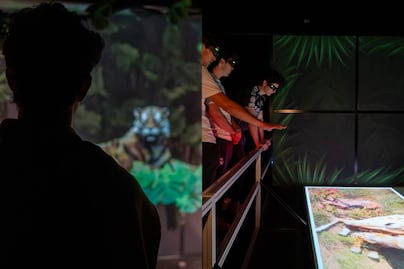 Hologram Zoo: conoce el zoológico de hologramas en CDMX