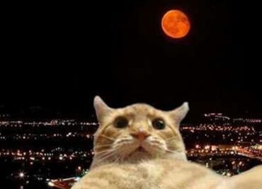 El eclipse lunar y el cambio de nombre del Estadio Azteca, en lo memes de la semana